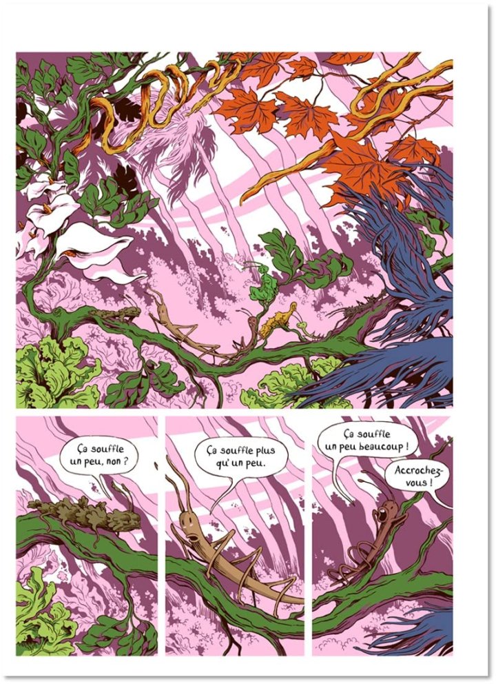 Phasmastory - Par Anne Baraou & Nancy Peña - Éd. Nathan